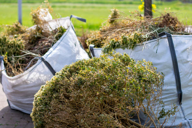 Best Office Junk Removal  in Blossburg, PA